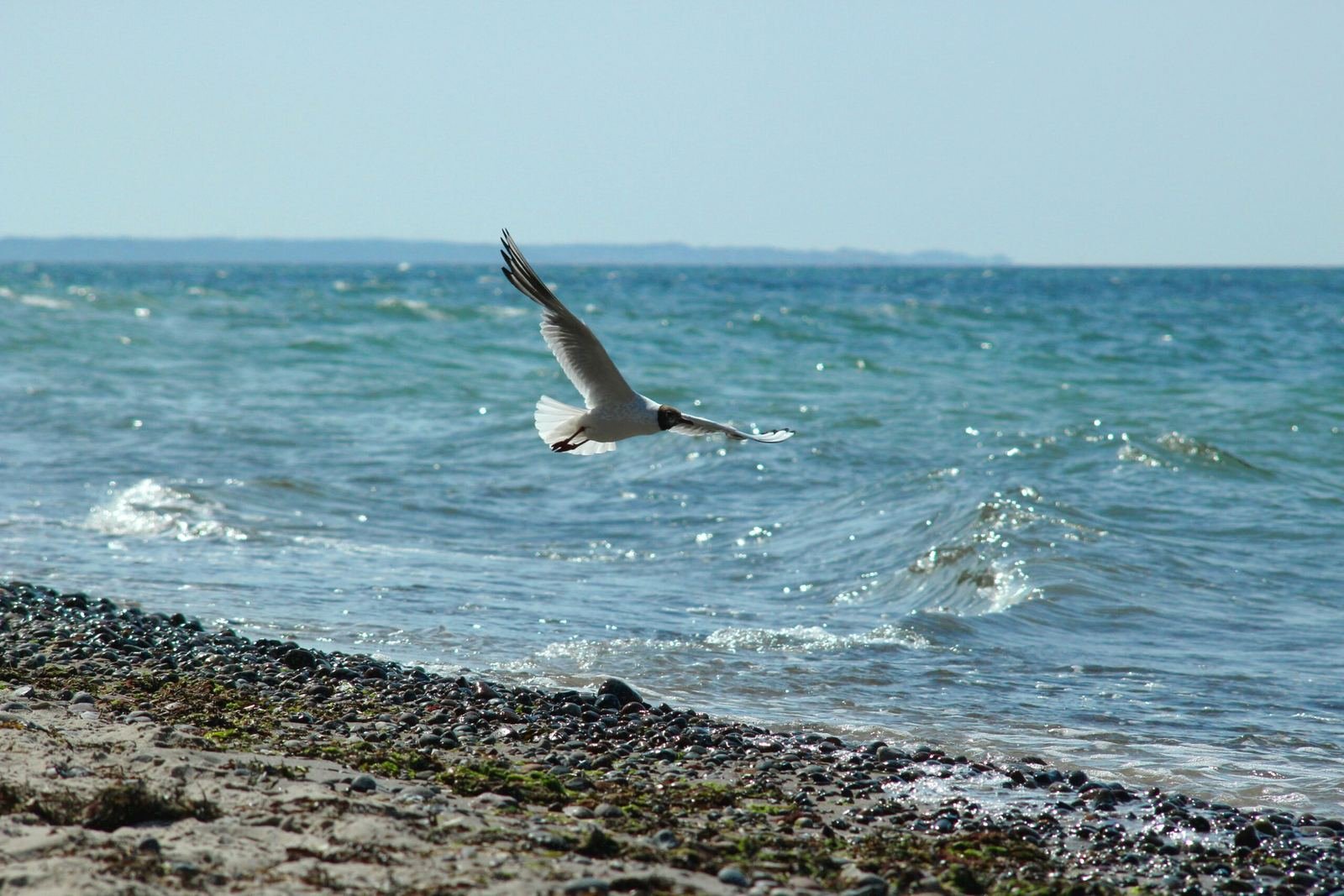 Die Ünlü Group an der Ostsee